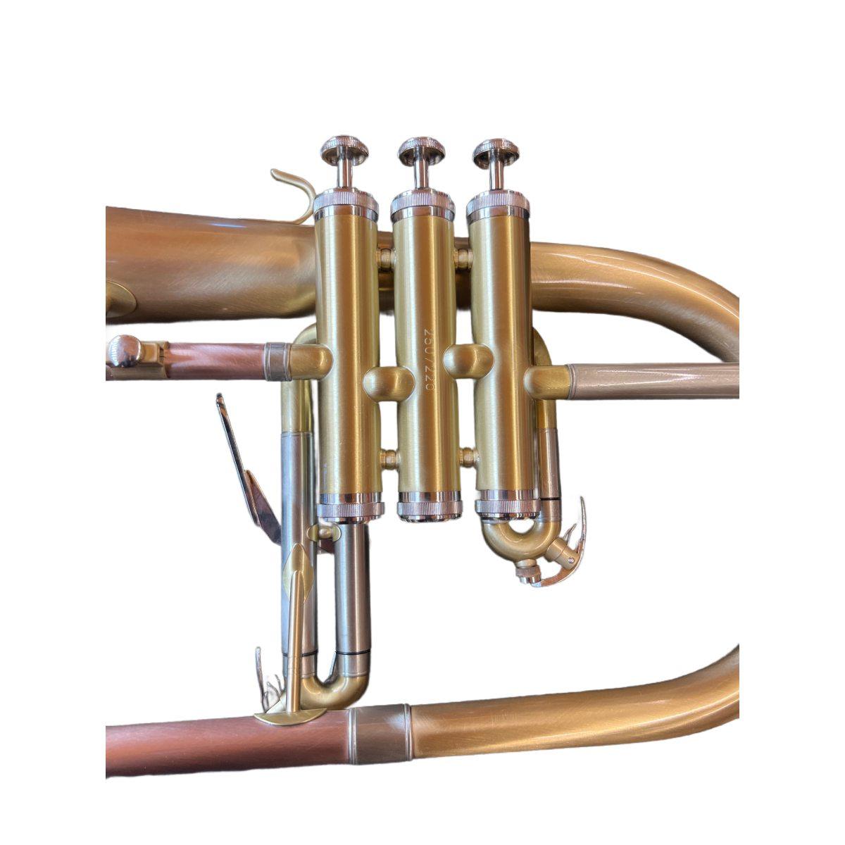 BBRASS FH819GL FLICORNO IN Bb GOLD BRASS