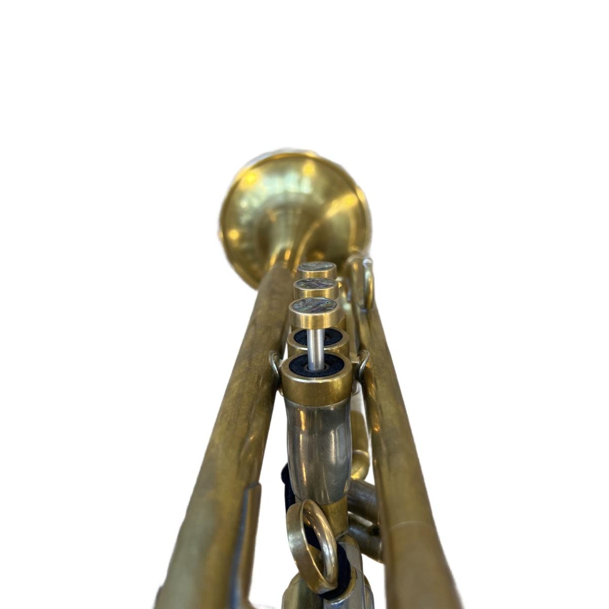 Monette asna tromba  sib - usato