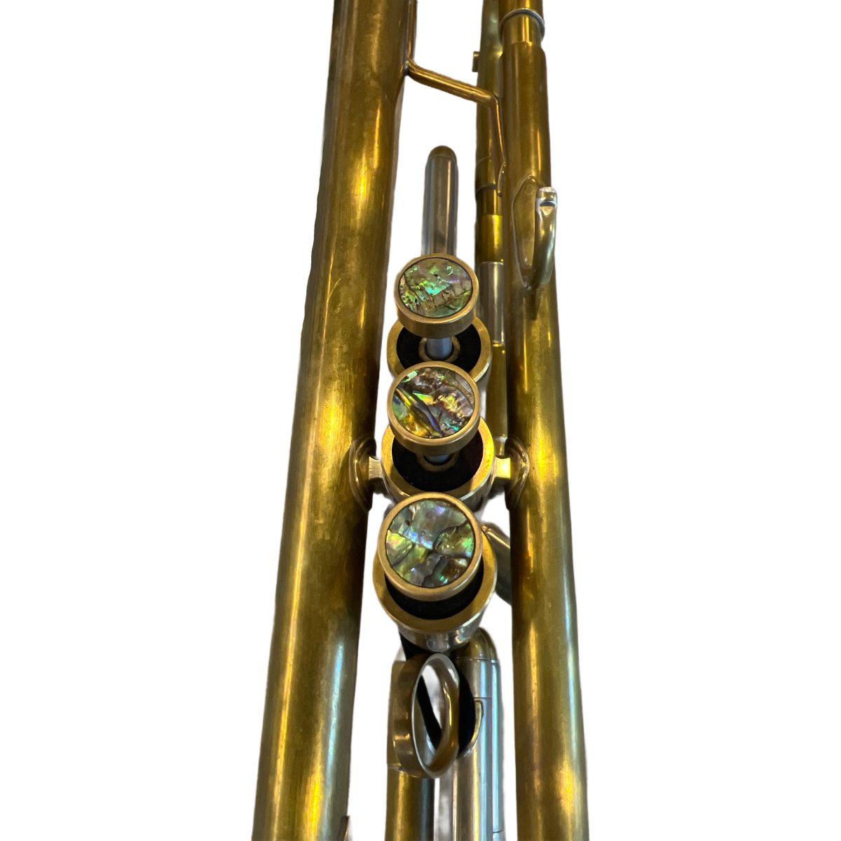 Monette asna tromba  sib - usato