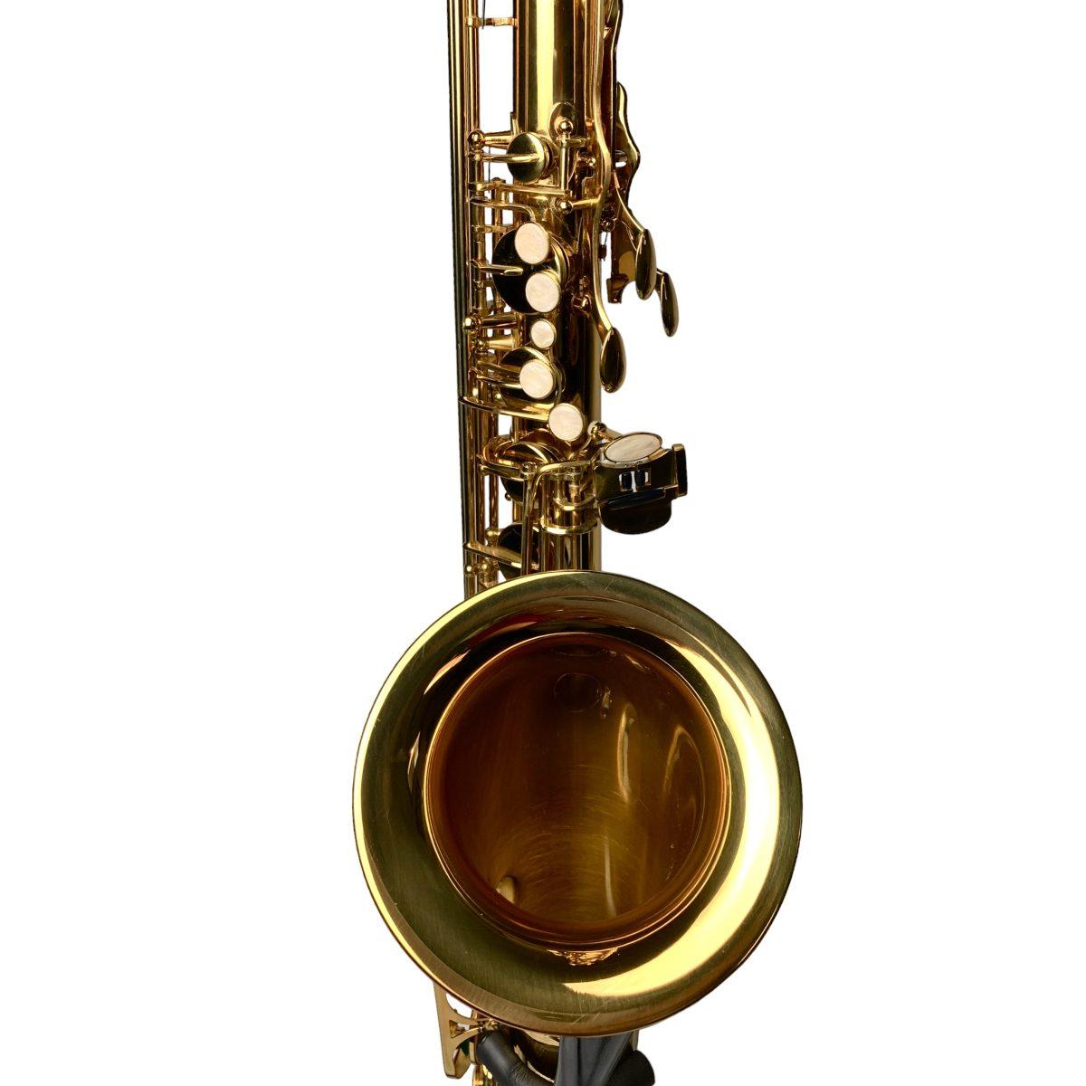 Cigalini sax tenore serie studio