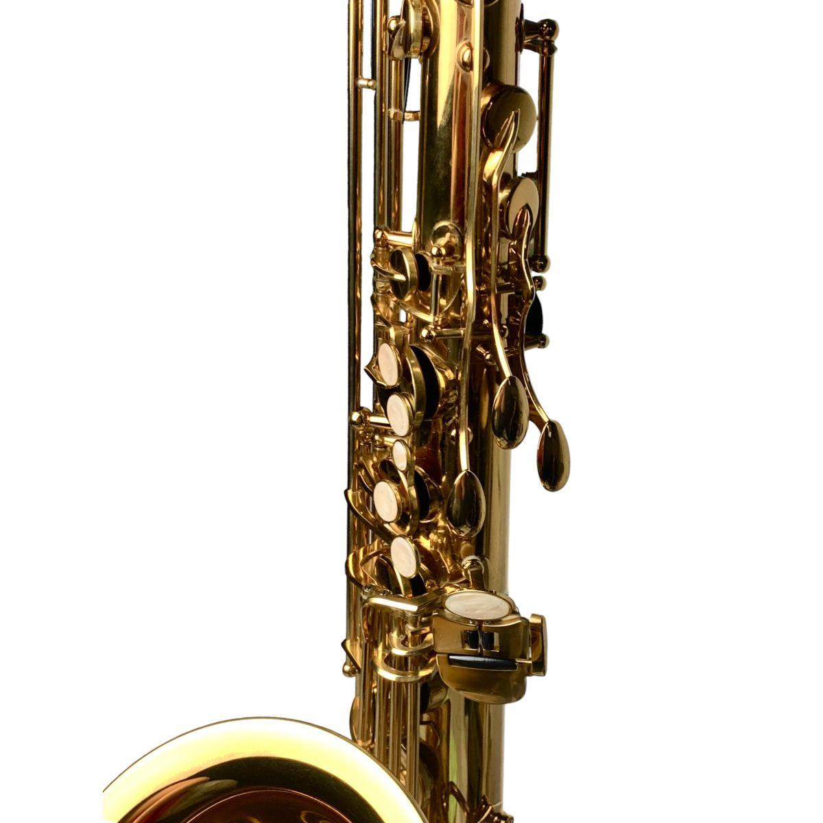 Cigalini sax tenore serie studio