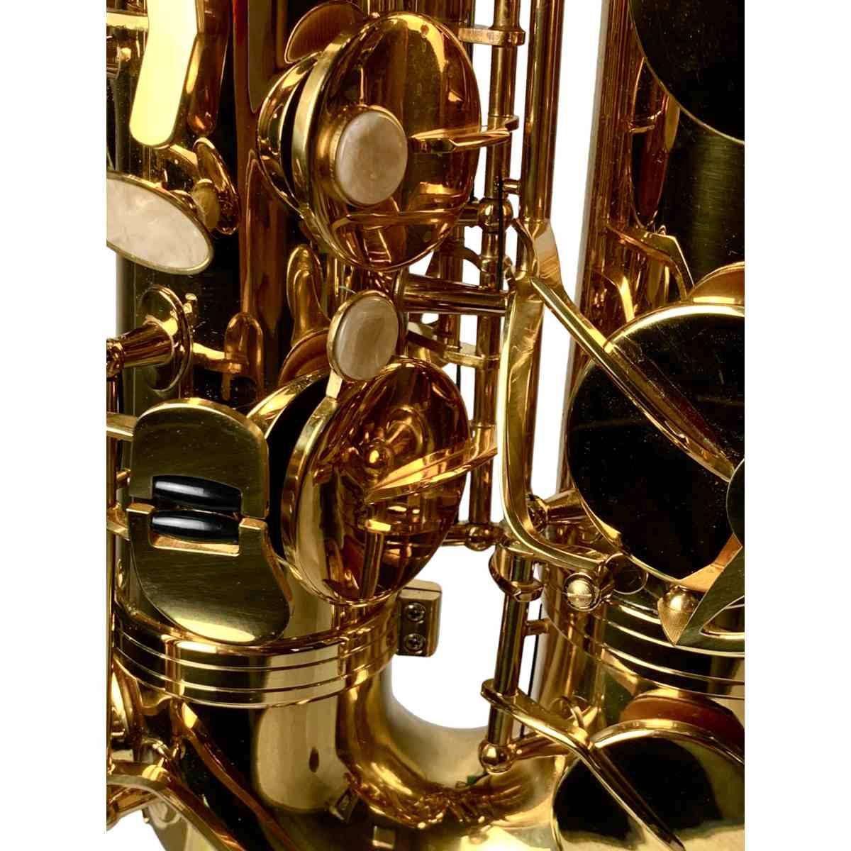 Cigalini sax tenore serie studio