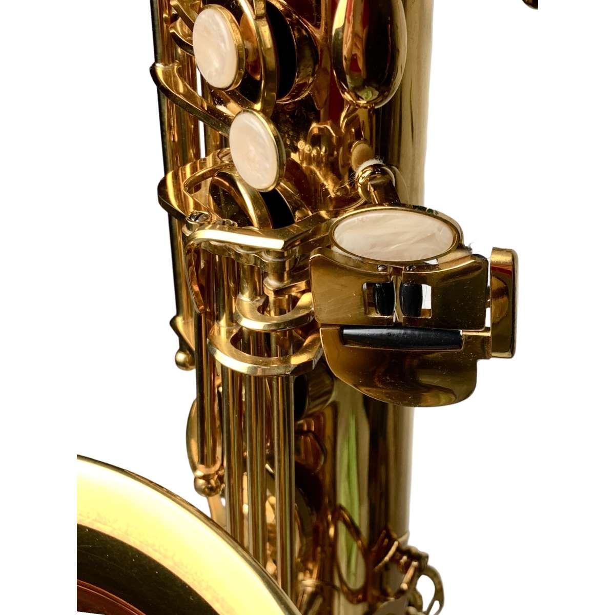 Cigalini sax tenore serie studio