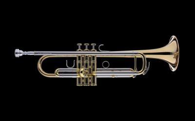 SCHAGERL MNOZILBRASS L SIGNATURE TROMBA IN Bb